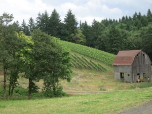 Old farmhouse at Colene Clemens winery