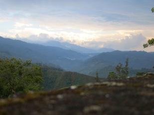 A valley near Salento, Colombia